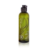 Shampoo per capelli secchi e danneggiati BIOSEA Éclat, 200 ml